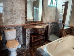 Signature Park (D21), Condominium #626894741